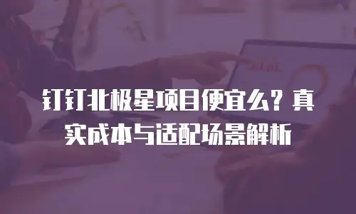 钉钉北极星项目便宜么？真实成本与适配场景解析