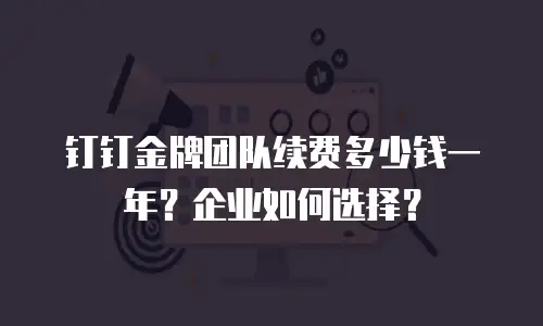钉钉金牌团队续费多少钱一年？企业如何选择？