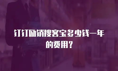 钉钉励销搜客宝多少钱一年的费用？