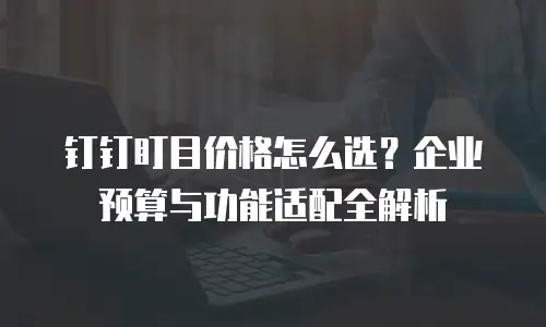 钉钉盯目价格怎么选？企业预算与功能适配全解析
