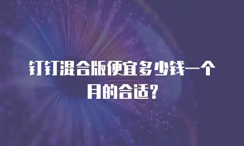 钉钉混合版便宜多少钱一个月的合适？