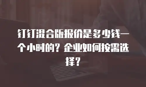 钉钉混合版报价是多少钱一个小时的？企业如何按需选择？