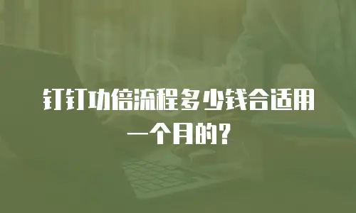 钉钉功倍流程多少钱合适用一个月的？