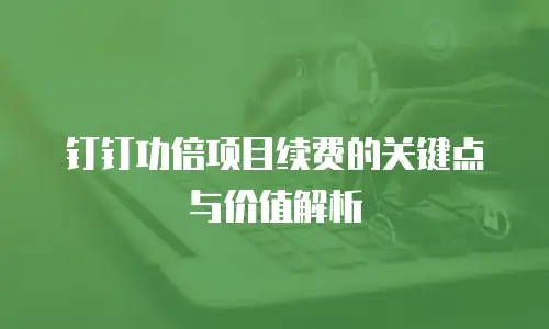 钉钉功倍项目续费的关键点与价值解析