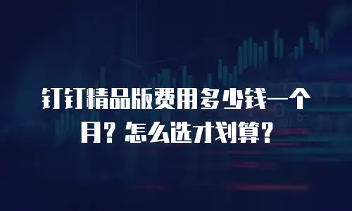 钉钉精品版费用多少钱一个月？怎么选才划算？