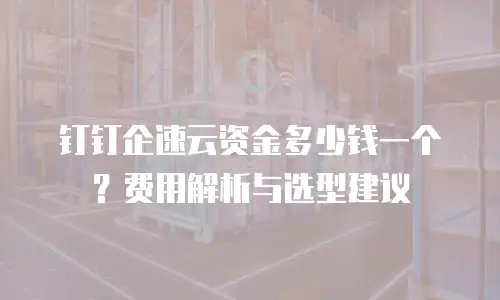 钉钉企速云资金多少钱一个？费用解析与选型建议
