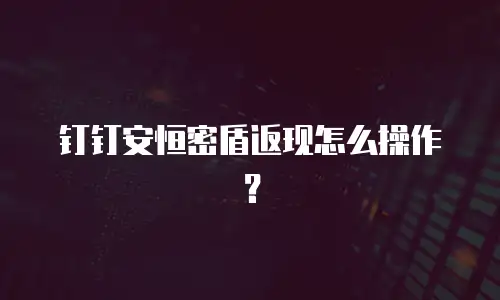 钉钉安恒密盾返现怎么操作？
