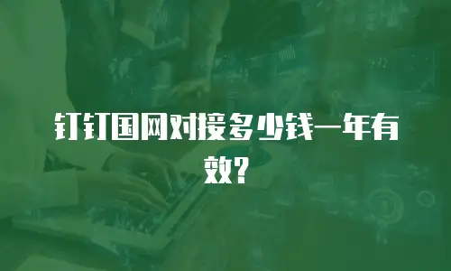 钉钉国网对接多少钱一年有效？