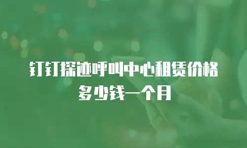 钉钉探迹呼叫中心租赁价格多少钱一个月