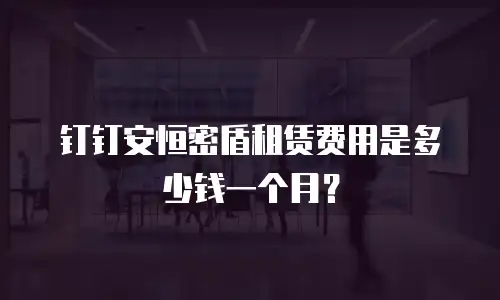 钉钉安恒密盾租赁费用是多少钱一个月？