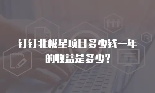 钉钉北极星项目多少钱一年的收益是多少？