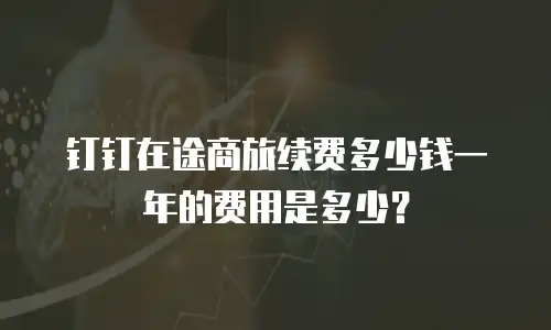钉钉在途商旅续费多少钱一年的费用是多少？