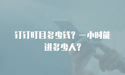 钉钉盯目多少钱？一小时能进多少人？