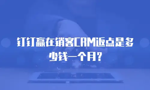 钉钉赢在销客CRM返点是多少钱一个月？