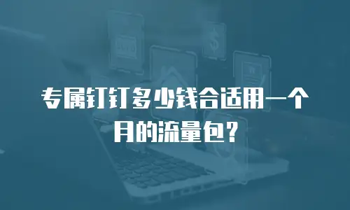 专属钉钉多少钱合适用一个月的流量包？