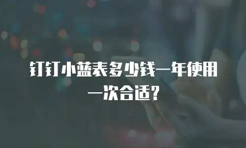 钉钉小蓝表多少钱一年使用一次合适？