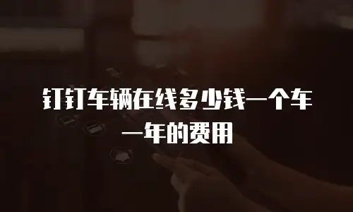 钉钉车辆在线多少钱一个车一年的费用