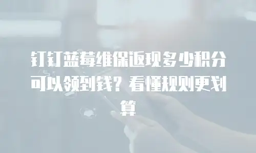 钉钉蓝莓维保返现多少积分可以领到钱？看懂规则更划算