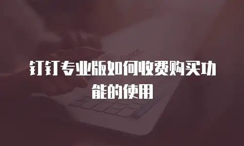 钉钉专业版如何收费购买功能的使用