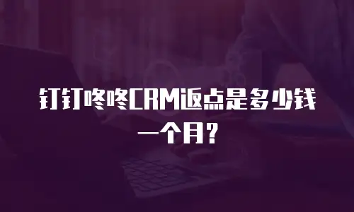 钉钉咚咚CRM返点是多少钱一个月？