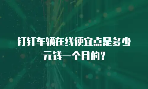 钉钉车辆在线便宜点是多少元钱一个月的？