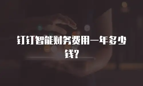 钉钉智能财务费用一年多少钱？