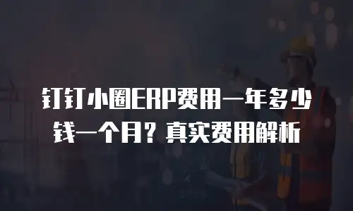 钉钉小圈ERP费用一年多少钱一个月？真实费用解析