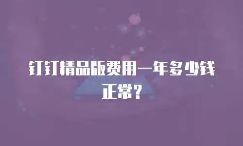 钉钉精品版费用一年多少钱正常？