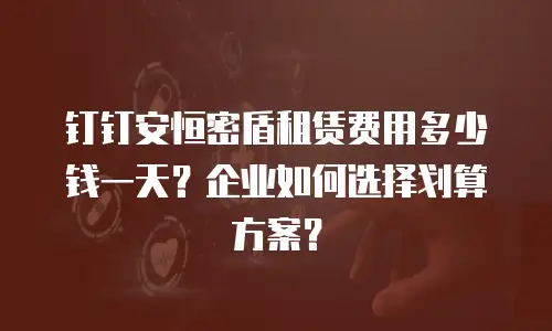 钉钉安恒密盾租赁费用多少钱一天？企业如何选择划算方案？