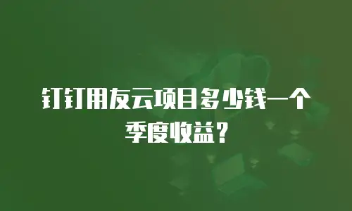 钉钉用友云项目多少钱一个季度收益？