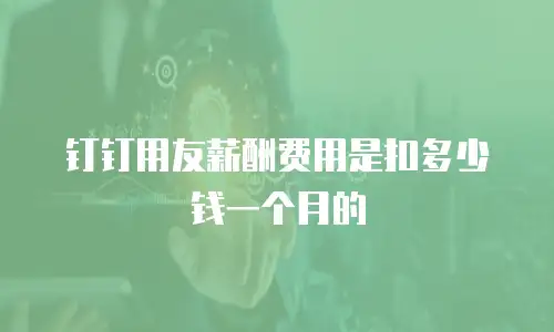 钉钉用友薪酬费用是扣多少钱一个月的