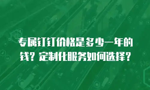 专属钉钉价格是多少一年的钱？定制化服务如何选择？