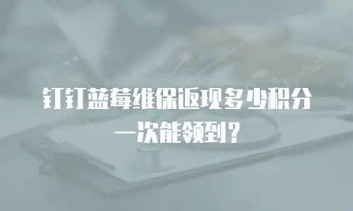 钉钉蓝莓维保返现多少积分一次能领到？