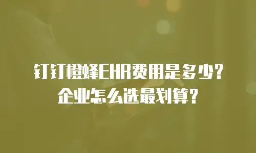 钉钉橙蜂EHR费用是多少？企业怎么选最划算？