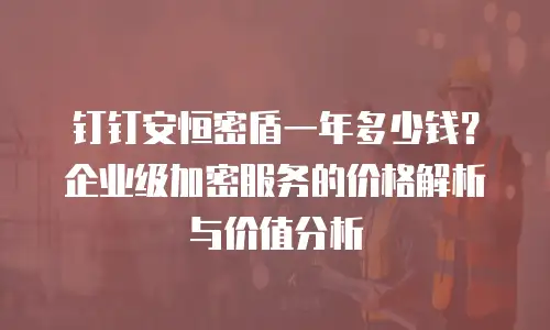 钉钉安恒密盾一年多少钱？企业级加密服务的价格解析与价值分析