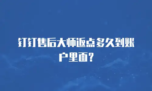 钉钉售后大师返点多久到账户里面？