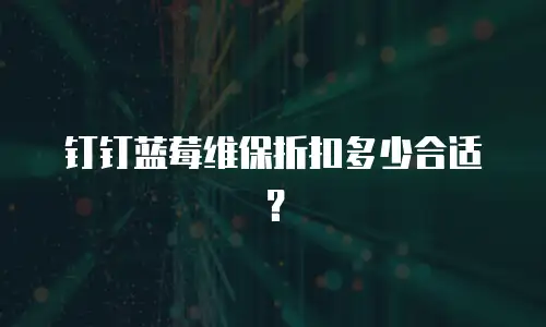 钉钉蓝莓维保折扣多少合适？