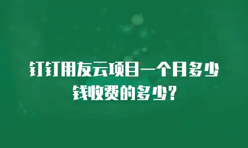 钉钉用友云项目一个月多少钱收费的多少？