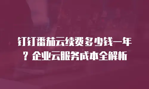钉钉番茄云续费多少钱一年？企业云服务成本全解析