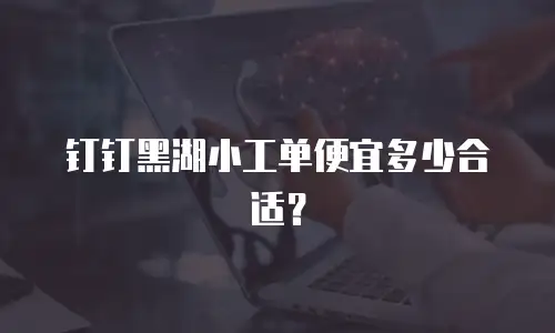 钉钉黑湖小工单便宜多少合适？