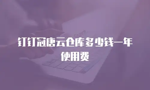 钉钉冠唐云仓库多少钱一年使用费