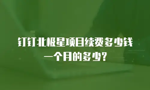 钉钉北极星项目续费多少钱一个月的多少？