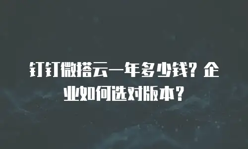 钉钉微搭云一年多少钱？企业如何选对版本？