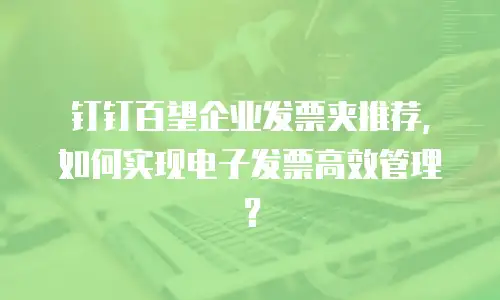 钉钉百望企业发票夹推荐，如何实现电子发票高效管理？