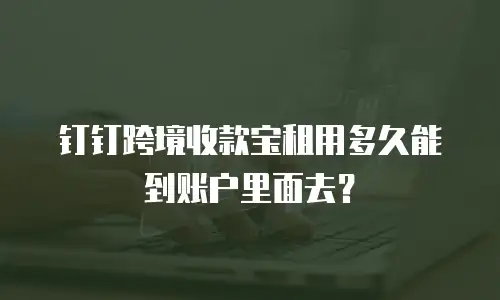 钉钉跨境收款宝租用多久能到账户里面去？