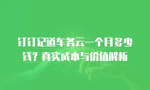 钉钉记道车务云一个月多少钱？真实成本与价值解析