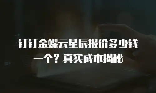 钉钉金蝶云星辰报价多少钱一个？真实成本揭秘