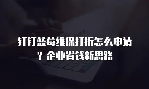 钉钉蓝莓维保打折怎么申请？企业省钱新思路