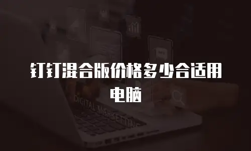 钉钉混合版价格多少合适用电脑
