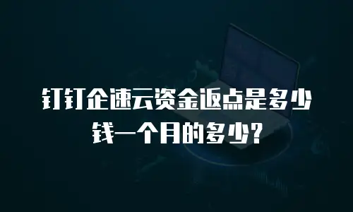 钉钉企速云资金返点是多少钱一个月的多少？